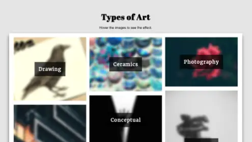 Types of Art - Image Hovers (CSS Filter)